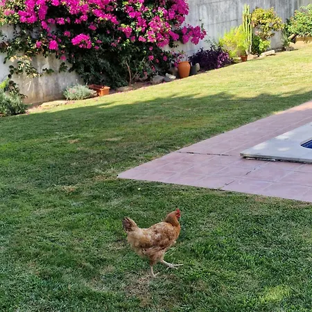 Villa Casa Nikana Turcifal