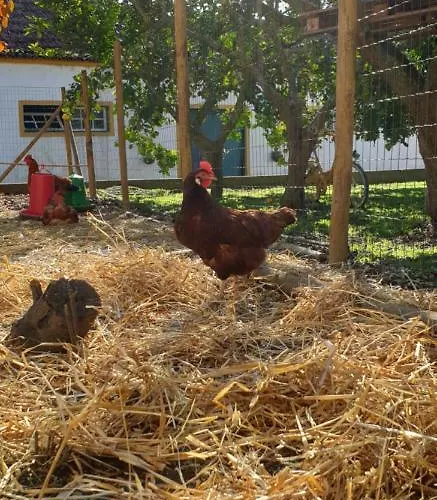 Вилла Casa Nikana