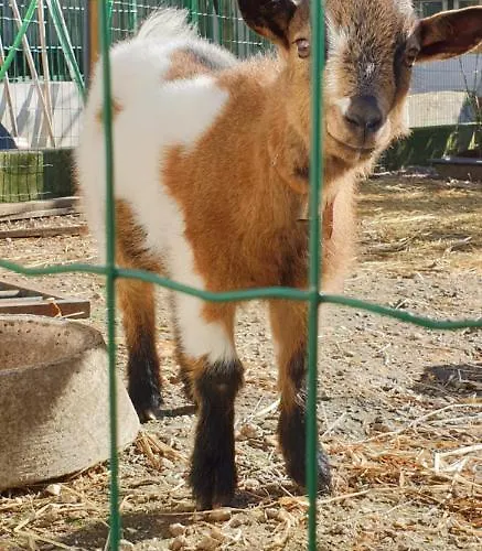 Casa Nikana Турсифал