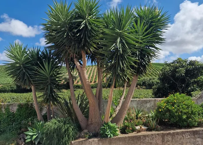 Casa Nikana Вилла *