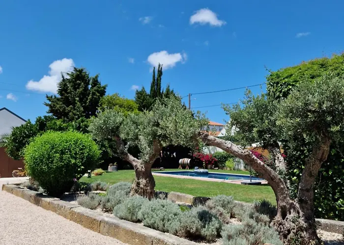 Casa Nikana * Турсифал