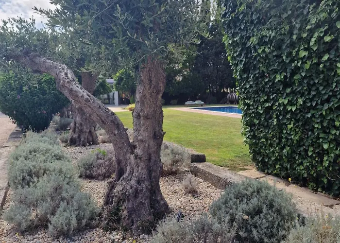 Casa Nikana Турсифал