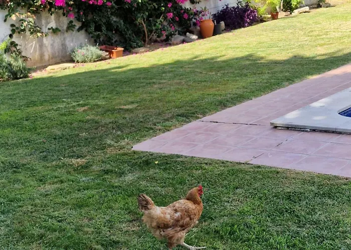 Вилла Casa Nikana Турсифал